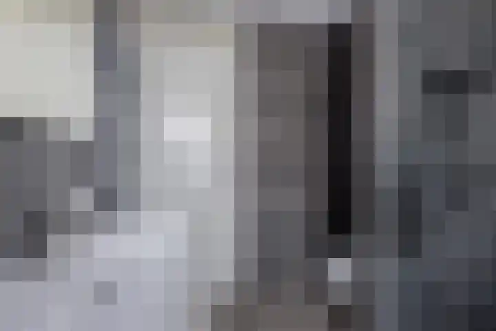 Distelvlinder 41 Wolvega thumbnail 31