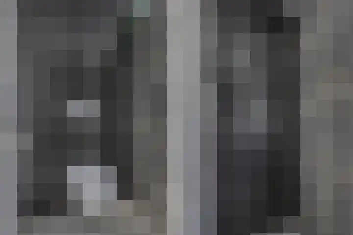 Distelvlinder 41 Wolvega thumbnail 32