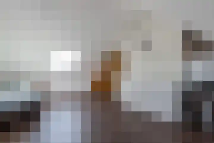 Distelvlinder 41 Wolvega thumbnail 34