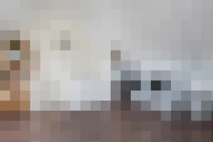 Distelvlinder 41 Wolvega thumbnail 35