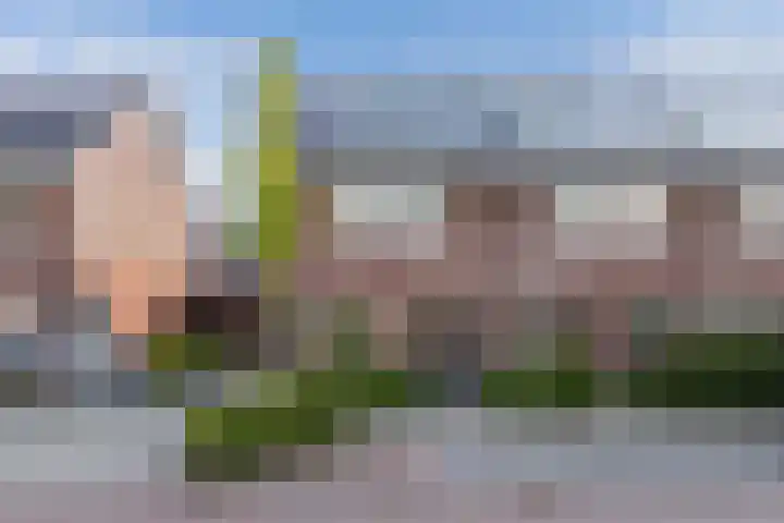 Distelvlinder 41 Wolvega thumbnail 38