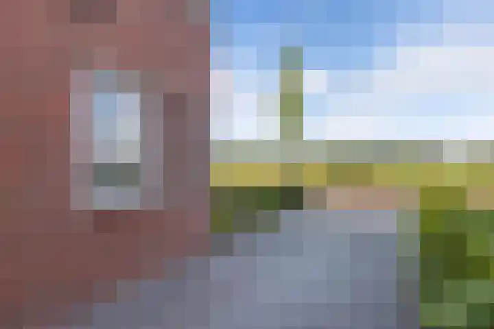 Distelvlinder 41 Wolvega thumbnail 39