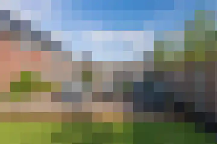 Distelvlinder 41 Wolvega thumbnail 4