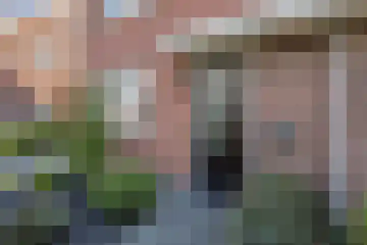 Distelvlinder 41 Wolvega thumbnail 40