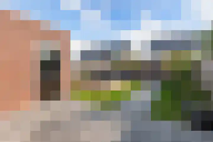 Distelvlinder 41 Wolvega thumbnail 41