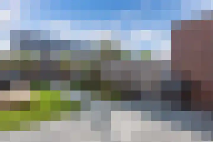 Distelvlinder 41 Wolvega thumbnail 42