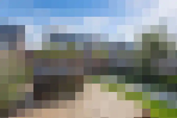 Distelvlinder 41 Wolvega thumbnail 43