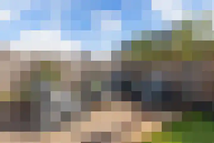 Distelvlinder 41 Wolvega thumbnail 44