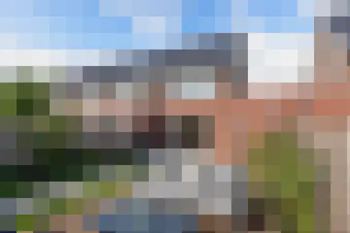 Distelvlinder 41 Wolvega thumbnail 45