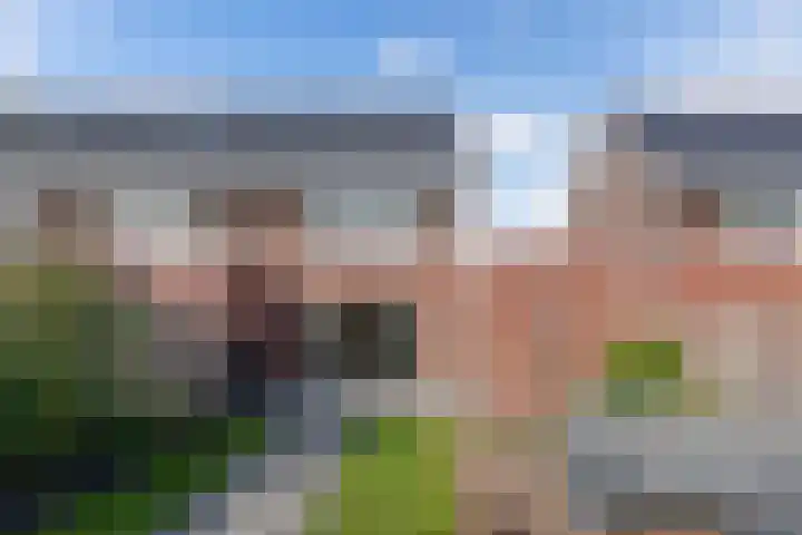 Distelvlinder 41 Wolvega thumbnail 46