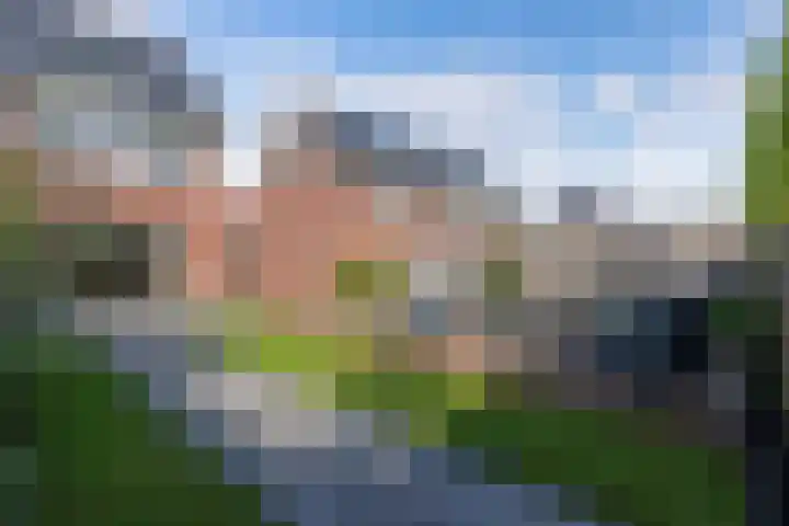 Distelvlinder 41 Wolvega thumbnail 47