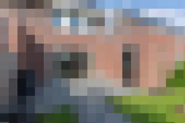 Distelvlinder 41 Wolvega thumbnail 48