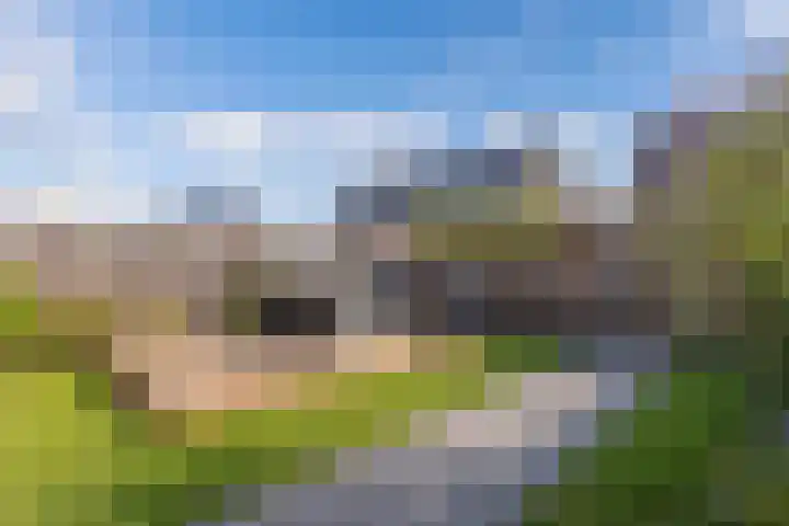 Distelvlinder 41 Wolvega thumbnail 49