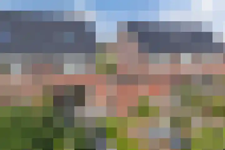 Distelvlinder 41 Wolvega thumbnail 5
