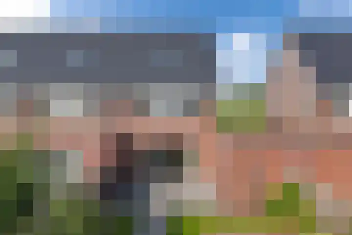 Distelvlinder 41 Wolvega thumbnail 50