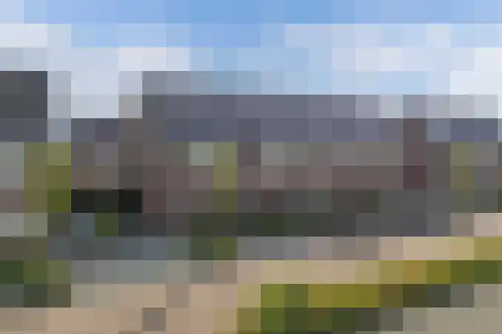 Distelvlinder 41 Wolvega thumbnail 6
