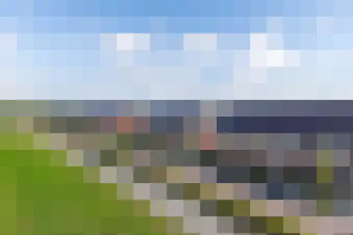 Distelvlinder 41 Wolvega thumbnail 7