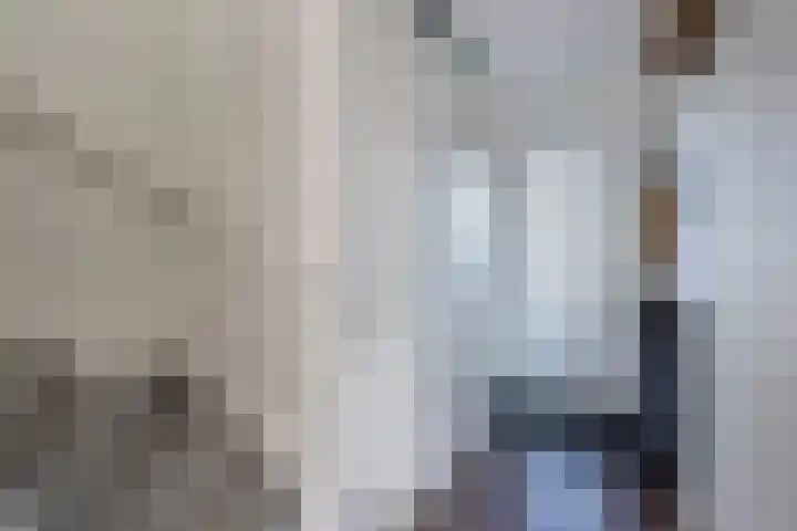 Distelvlinder 41 Wolvega thumbnail 8