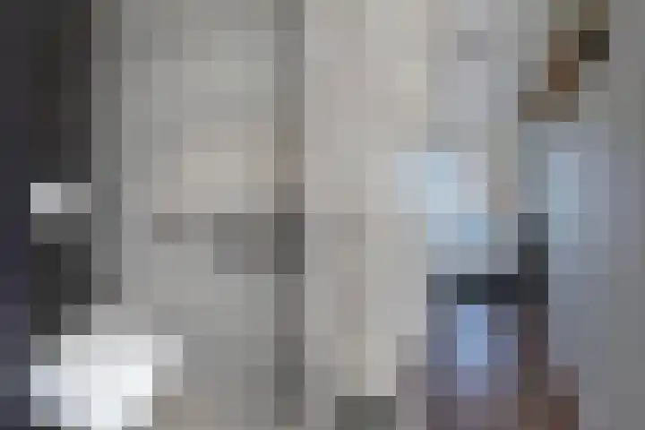 Distelvlinder 41 Wolvega thumbnail 9