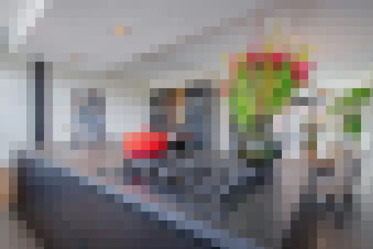 Distelvlinder 47 Den Burg thumbnail 13