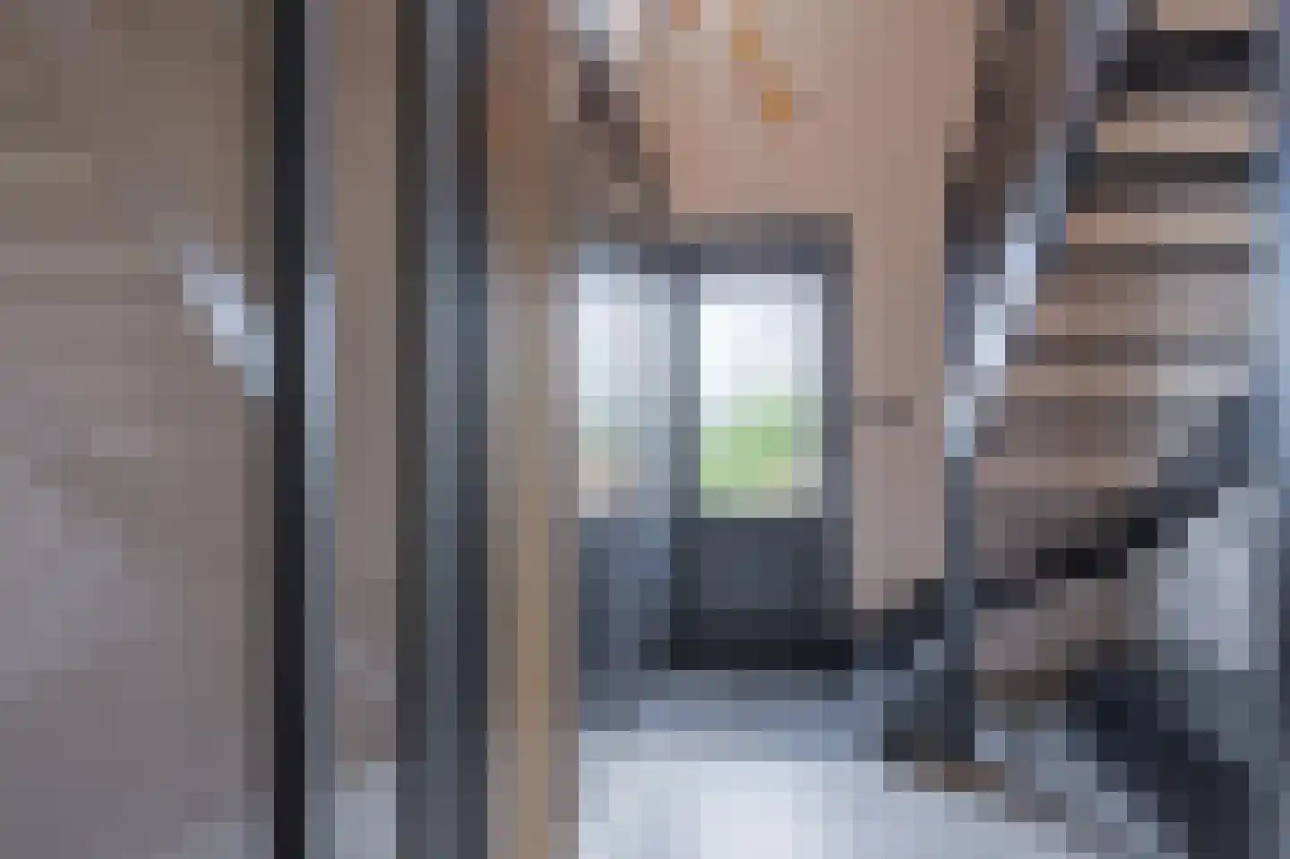 Distelvlinder 47 Den Burg thumbnail 18