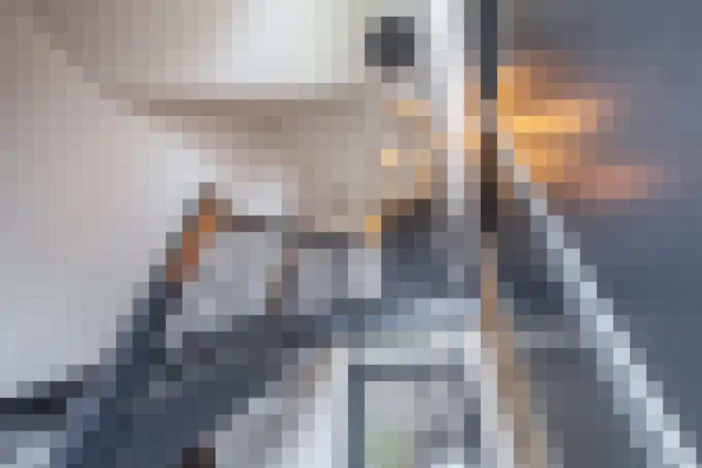 Distelvlinder 47 Den Burg thumbnail 21