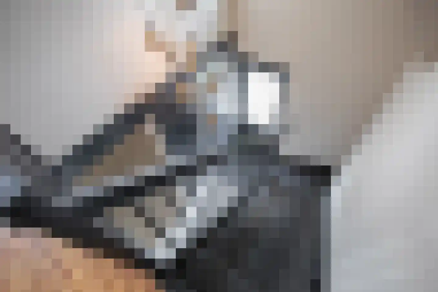 Distelvlinder 47 Den Burg thumbnail 22