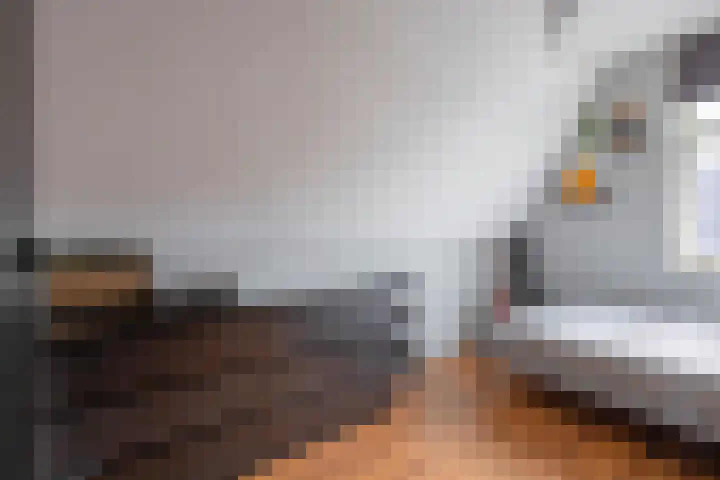 Distelvlinder 47 Den Burg thumbnail 28