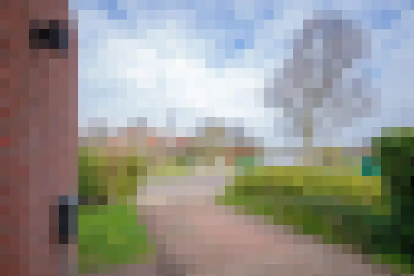 Distelvlinder 47 Den Burg thumbnail 48