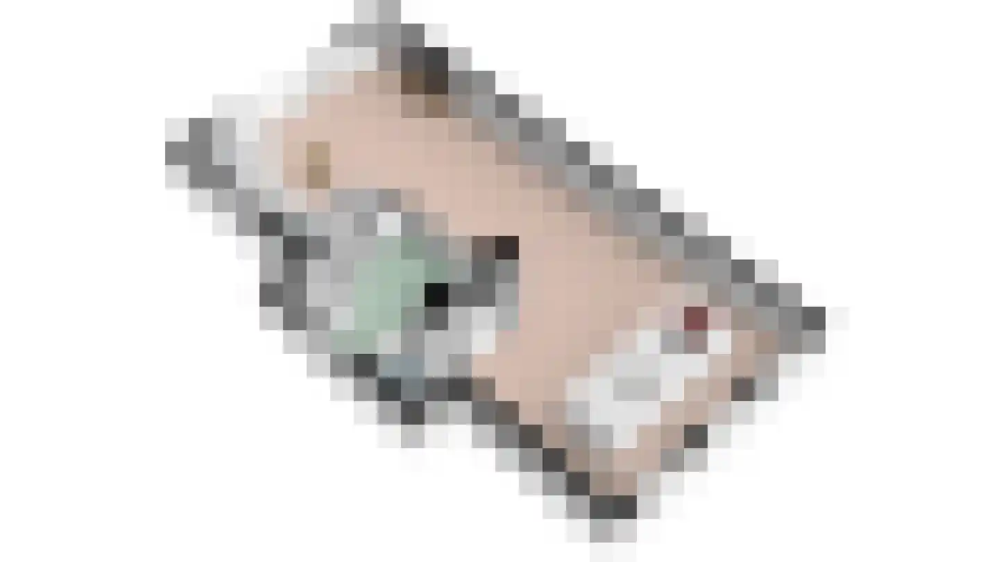 Distelvlinder 47 Den Burg thumbnail 57
