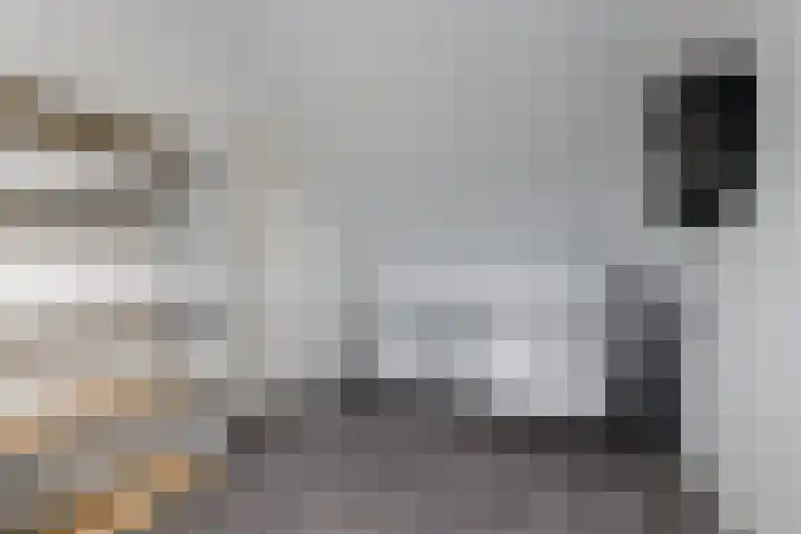 Distelvlinder 51 Wolvega thumbnail 23
