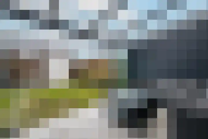 Distelvlinder 51 Wolvega thumbnail 26
