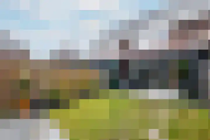 Distelvlinder 51 Wolvega thumbnail 29