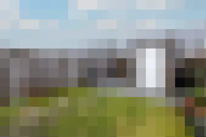 Distelvlinder 51 Wolvega thumbnail 31