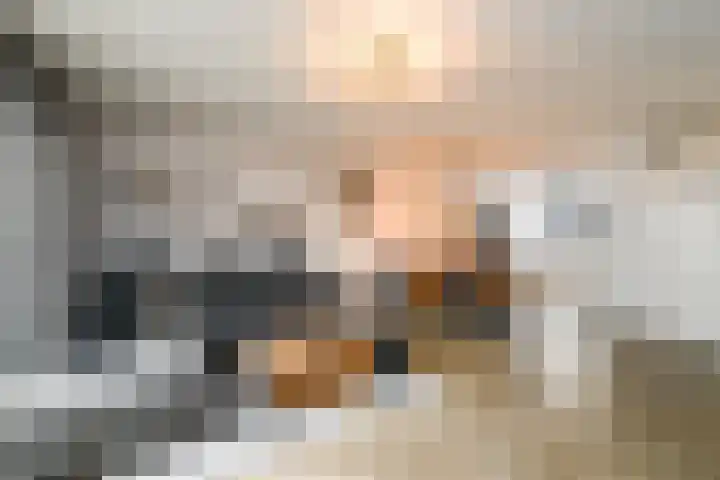 Distelvlinder 51 Wolvega thumbnail 4