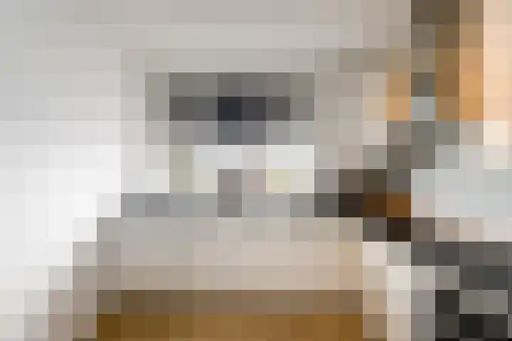 Distelvlinder 51 Wolvega thumbnail 8