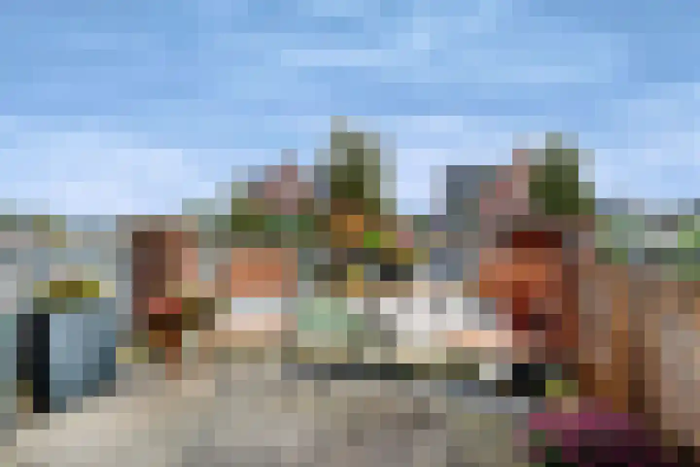 Distelvlinder 56 Den Burg thumbnail 16