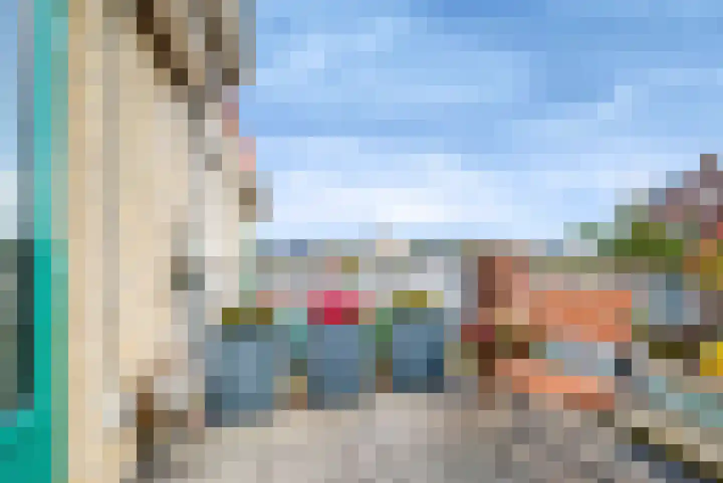 Distelvlinder 56 Den Burg thumbnail 17