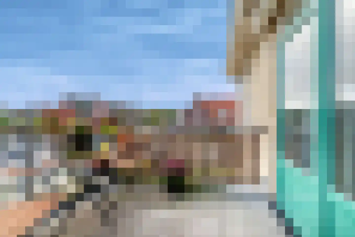 Distelvlinder 56 Den Burg thumbnail 18