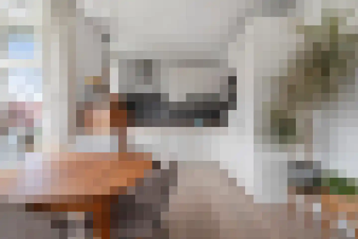 Distelvlinder 56 Den Burg thumbnail 22