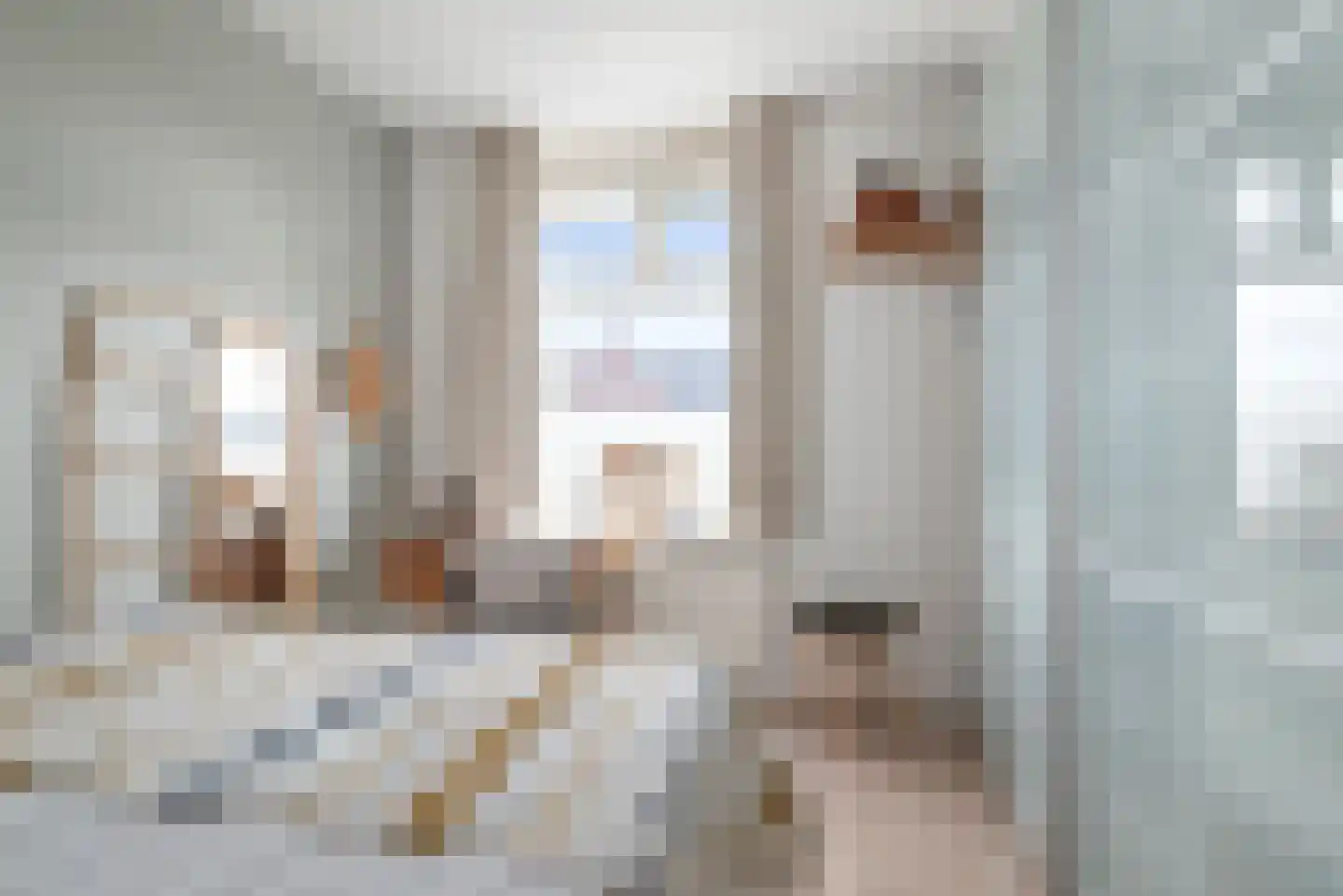 Distelvlinder 56 Den Burg thumbnail 26