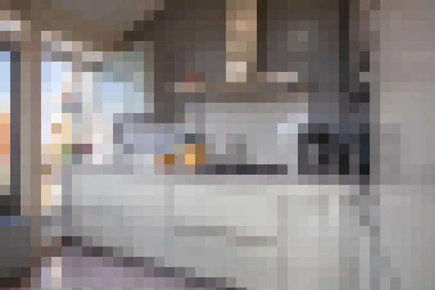 Distelvlinder 58 Den Burg thumbnail 11