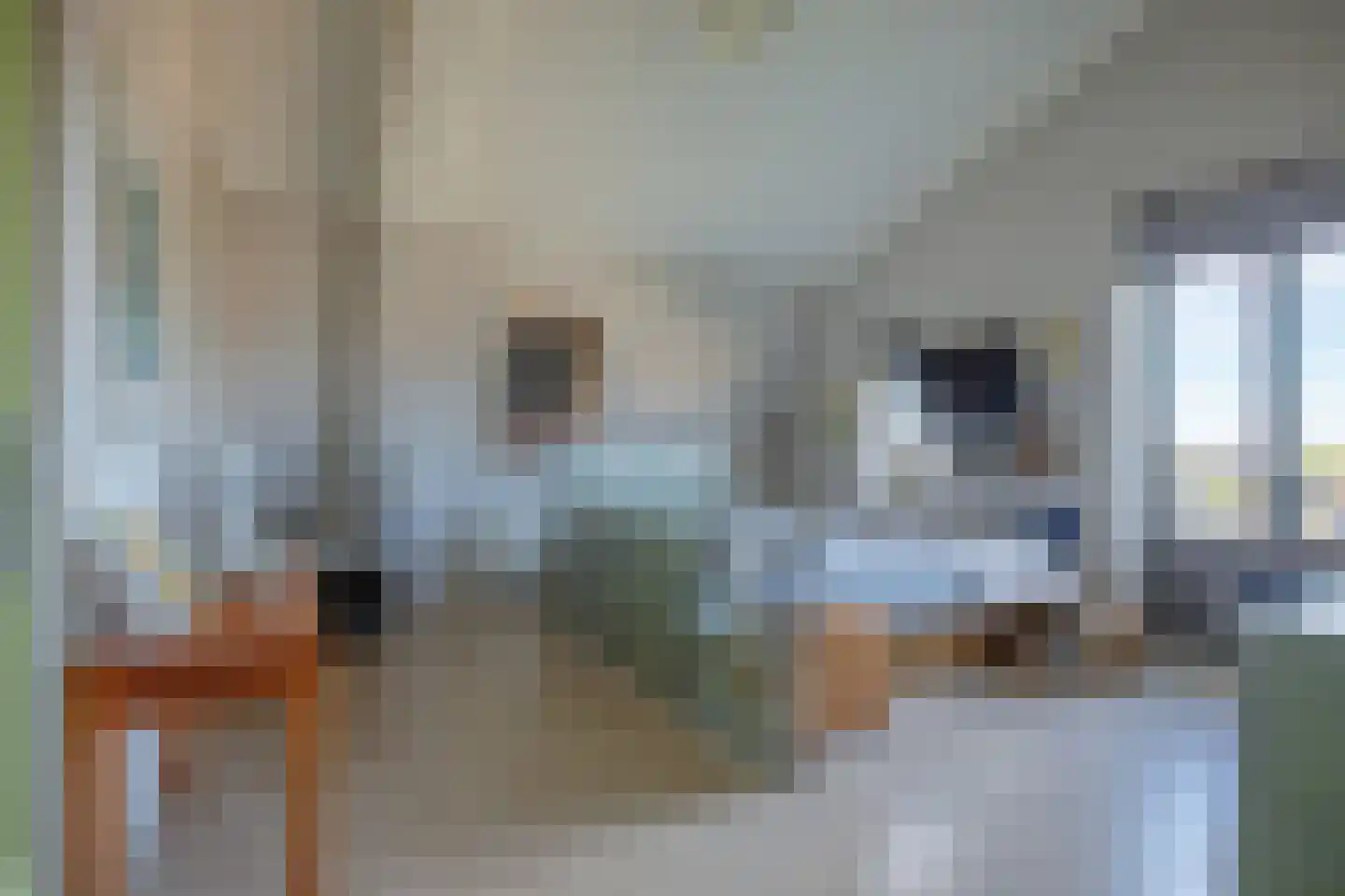 Distelvlinder 58 Den Burg thumbnail 14