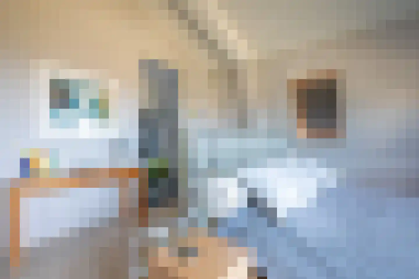 Distelvlinder 58 Den Burg thumbnail 15