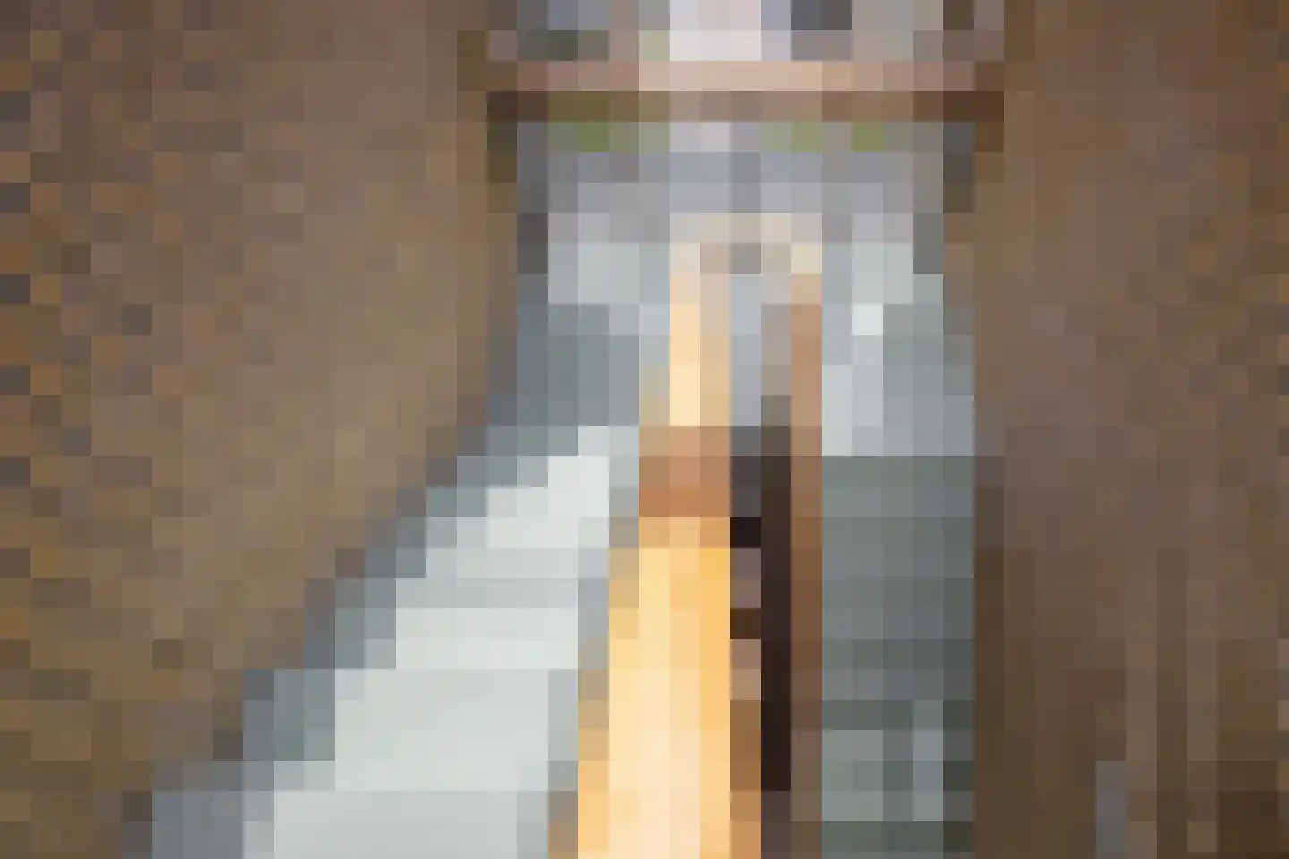 Distelvlinder 58 Den Burg thumbnail 25