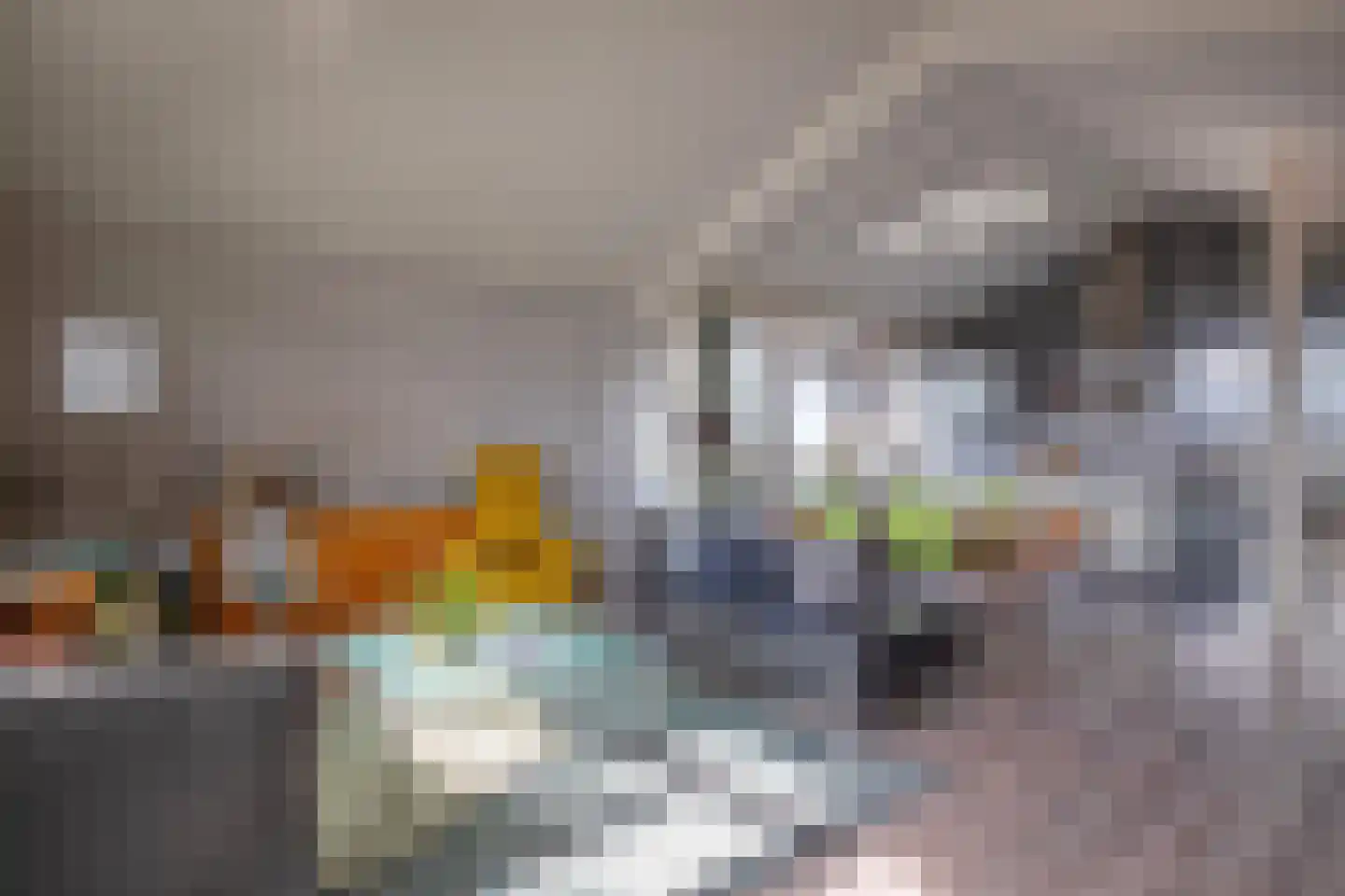 Distelvlinder 58 Den Burg thumbnail 9
