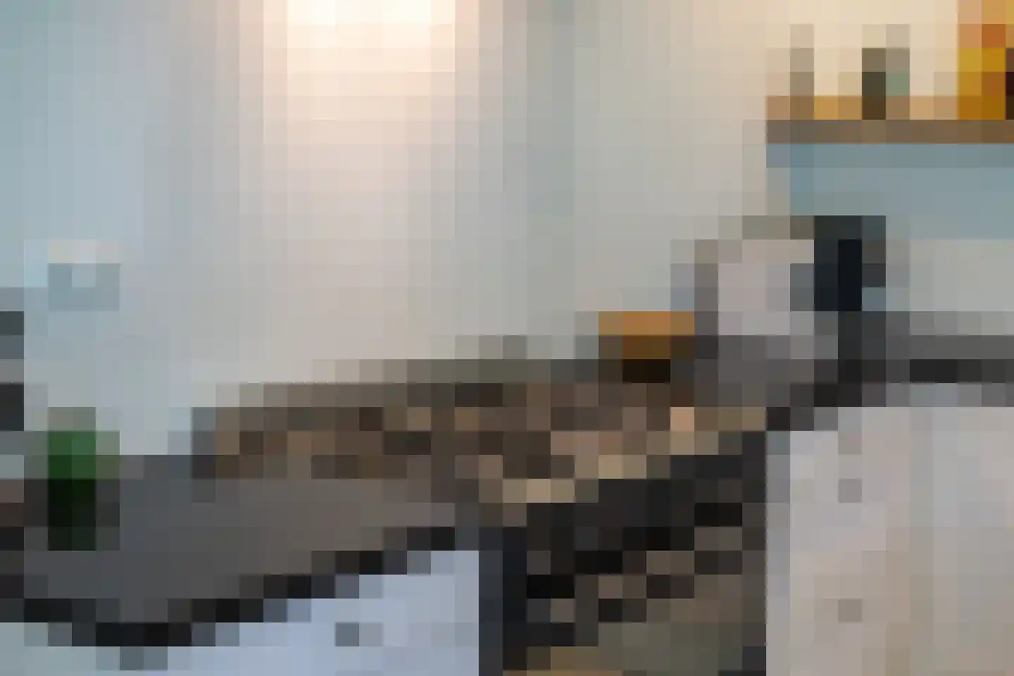 Distelvlinder 7 Holten thumbnail 16