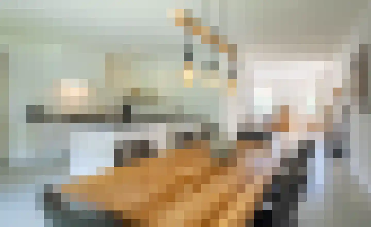 Distelvlinder 7 Holten thumbnail 18
