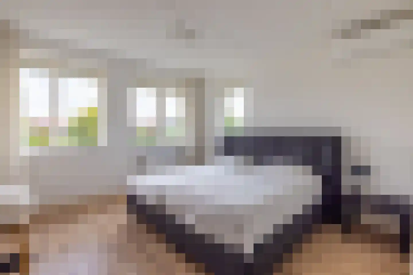 Distelvlinder 7 Holten thumbnail 22