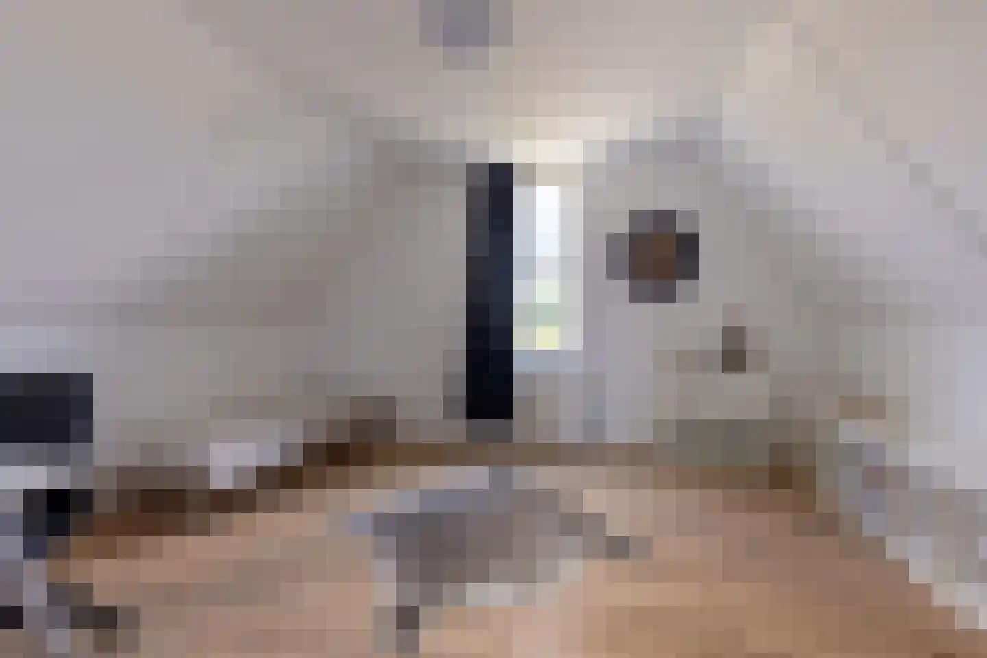 Distelvlinder 7 Holten thumbnail 29